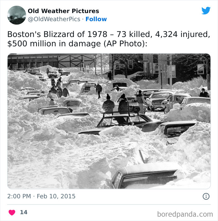 Boston's blizzard of 1978 showing cars buried in snow and people walking during extreme and crazy weather event.