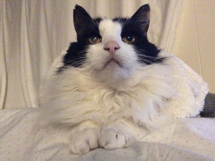 Tyak Bunny Fantastic💕 My Delicate Genius