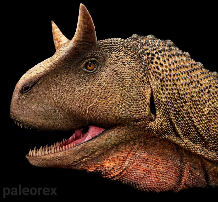 Realistic illustration of a long-extinct animal showing detailed skin texture and horned features on black background.