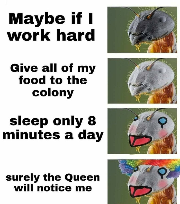 They’ll Make Clowns Of Us All