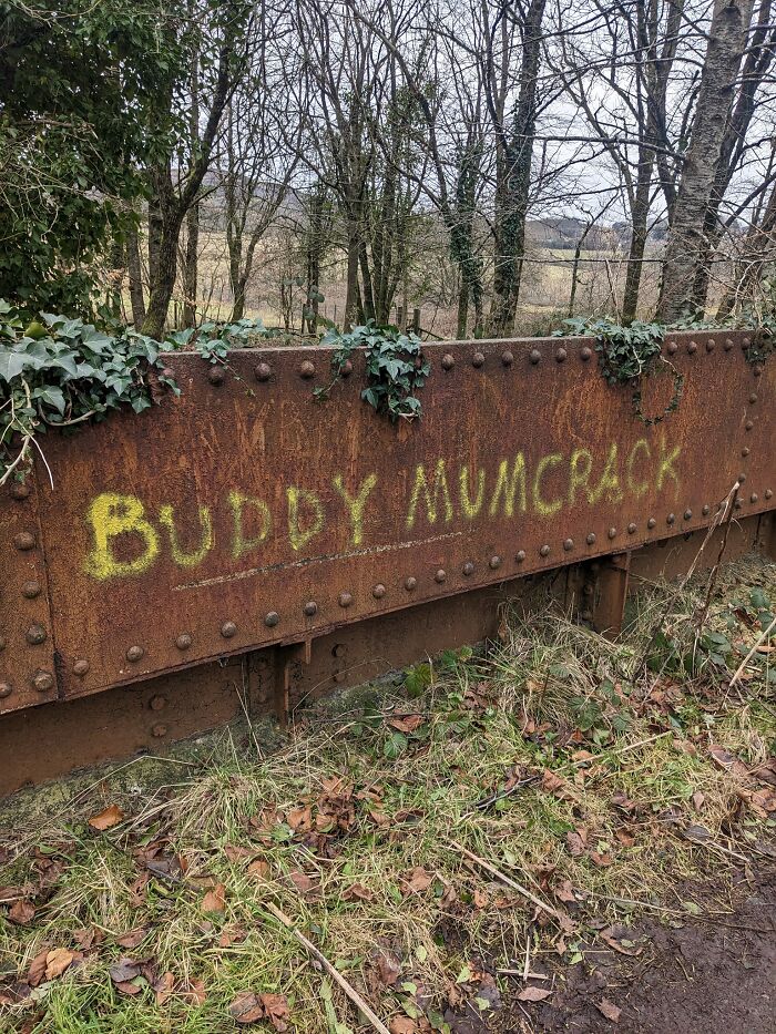 Funny-Questionable-Graffiti