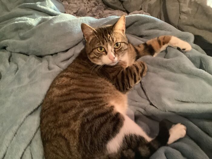 This Giant Sack Of Sweet Potatoes