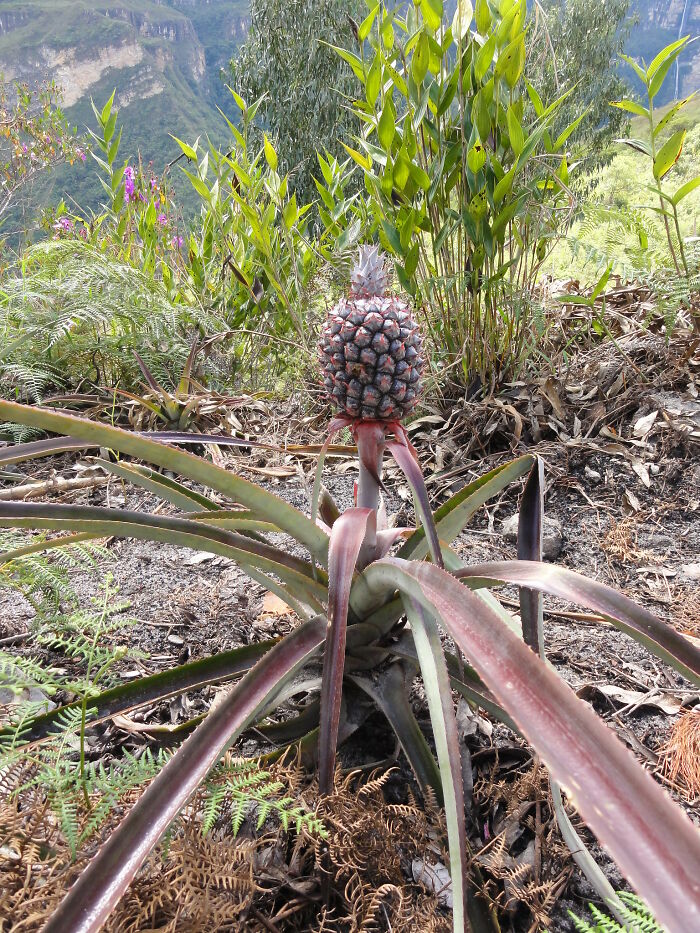 35 Lessons People Admit They Learned Embarrassingly Late In Life, As Shared In This Online Group