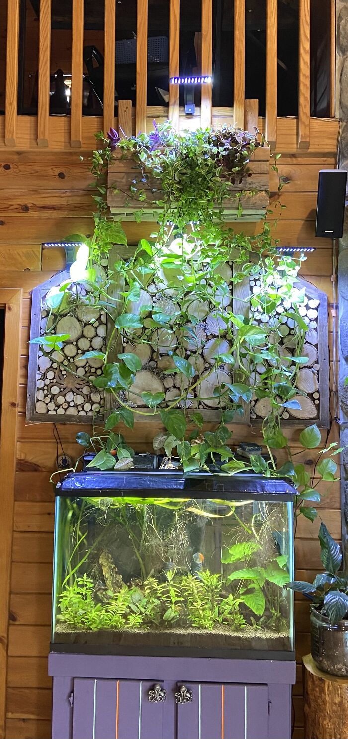 I Made Wooden Panels To Protect My Walls