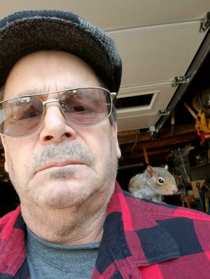 So The Other Day My Dad Called Me And Told Me His Golden Retriever Found A Baby Squirrel That Was Half Alive In The Yard. He Rescued It And Fed It