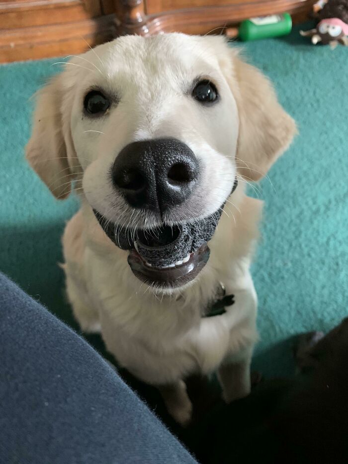 She Brought Me A Sock, I Feel So Honored