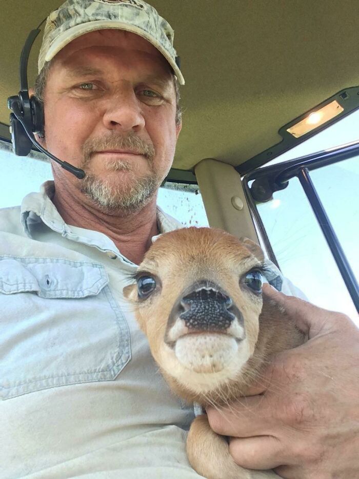 Look At This Cute Puppy We Found In The Corn Field