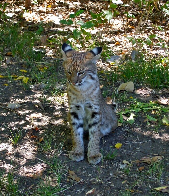 Hiking Along The Trinity River In DFW, Met This Little Guy