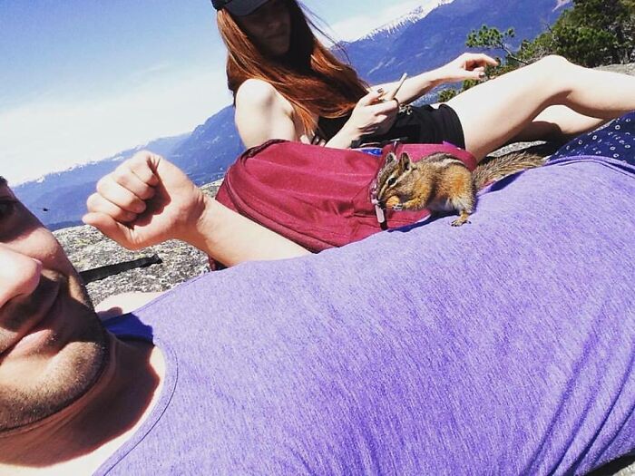 Made A Friend On A Hike Today