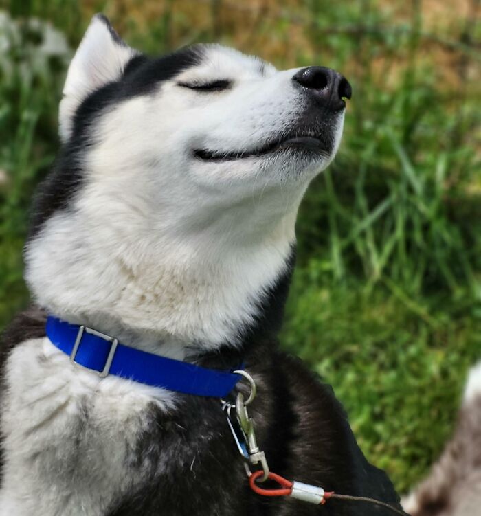 Aries Is A God. That Is All