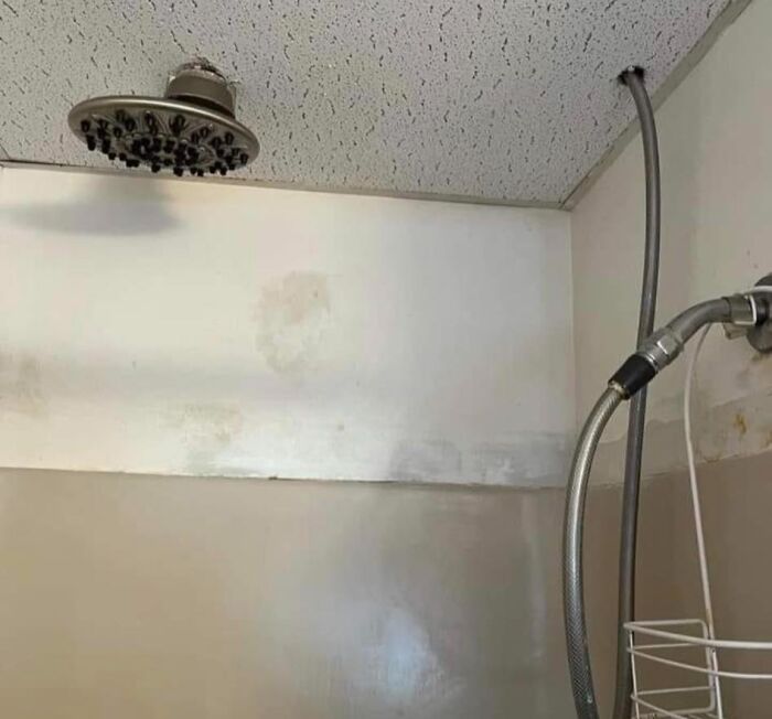 Just Upgraded The Shower In My Rentoids Apartment. How Much Can I Increase The Rent? Cause This Costed So Much Money. Smh Stupid Rentoids