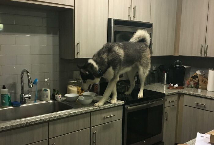 It Was Too Quiet In The Kitchen