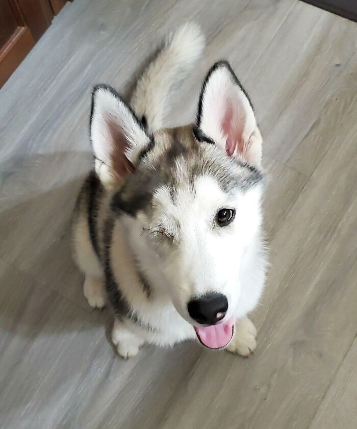 World, Say Hello To "Winks"