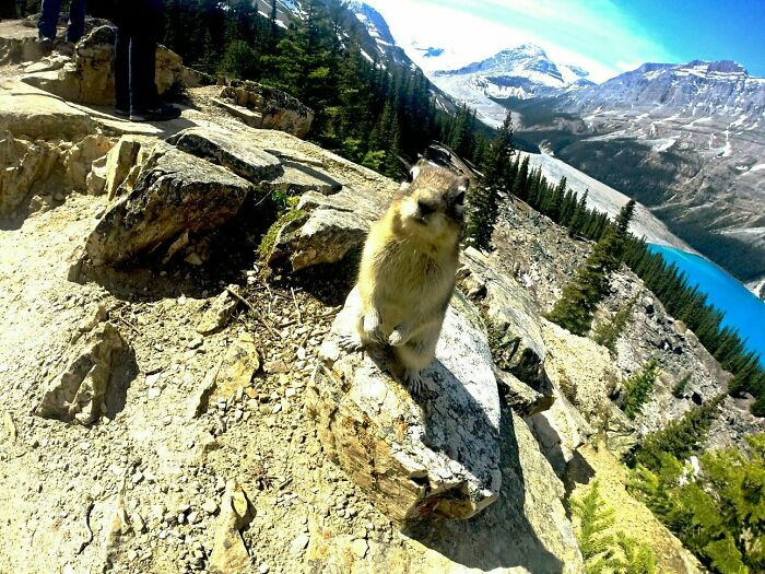 I Had A Very Cooperative Model On My Hike Today