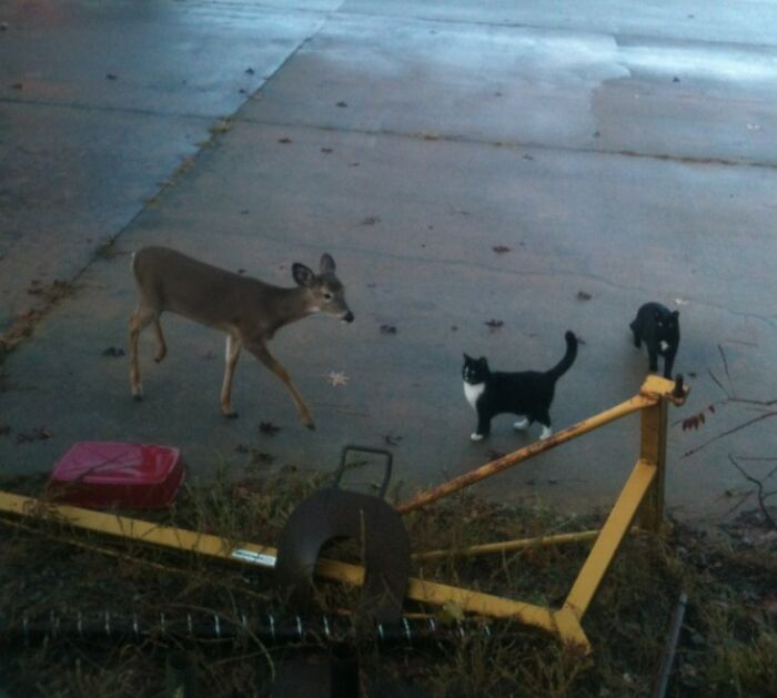 Saw An Interesting Group Of Friends This Morning