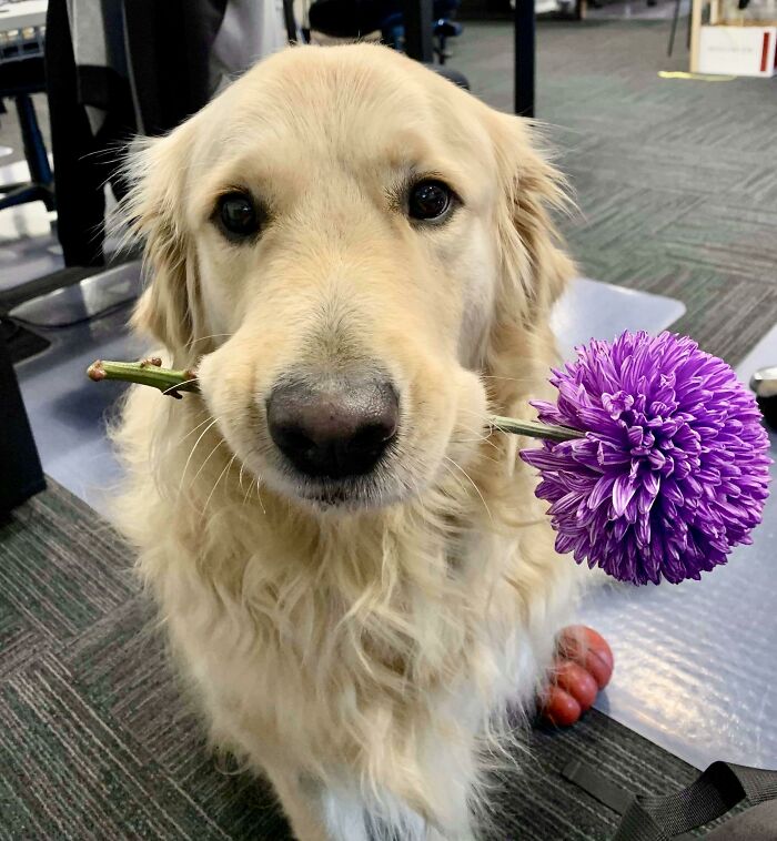 I Completely Forgot It Was My Cake Day Until Crumpet Reminded Me With A Gift