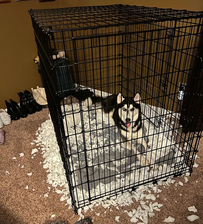 There Are Absolutely No Regrets In His Eyes