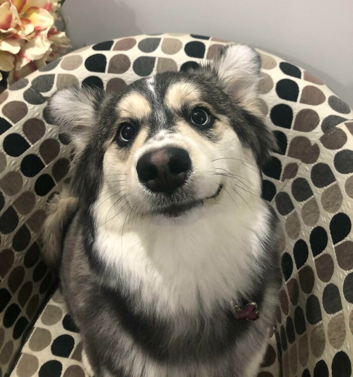 I Called Her Cute And She Smiled