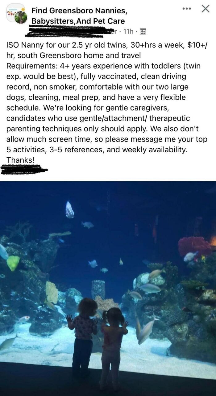 These Ridiculous Requirements For A Nanny