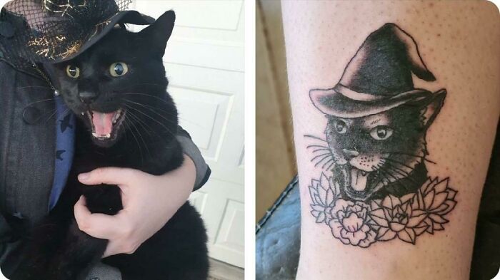 I Lost My Old Boy Sebastian Last Month. I Had My First Tattoo In His Honour. Art By Storm At Black Dagger Tattoo In Qld, Australia