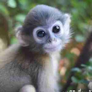 ernestorosete avatar