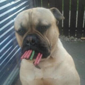 lesleyscrimshaw avatar