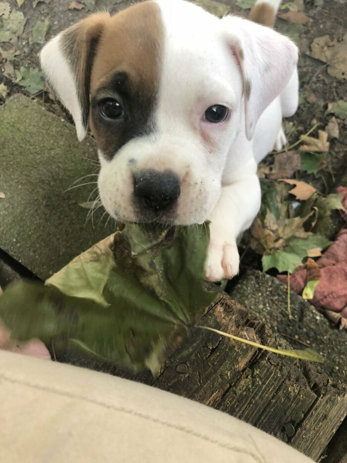 I Brought You A Present