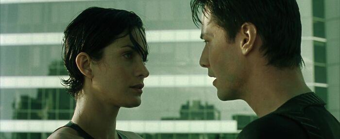 Neo And Trinity (The Matrix)