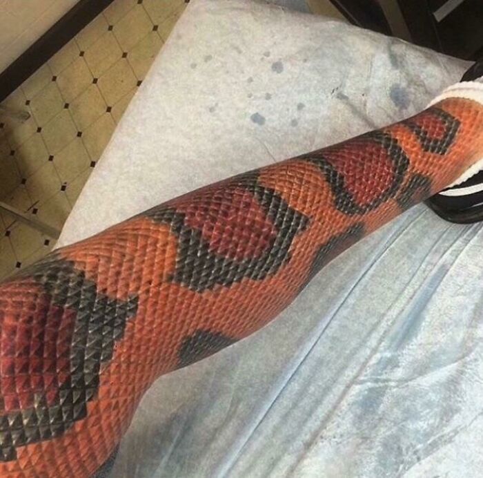 Realistic snake tattoo design on an arm showcasing detailed scales.