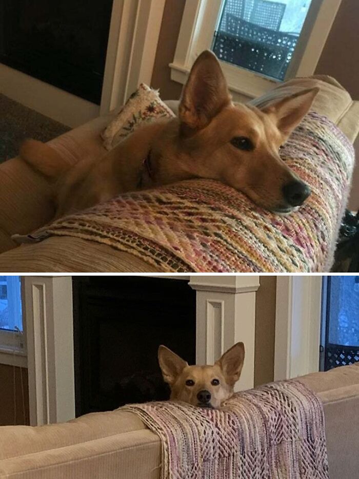 Each Photo Was Taken 20 Minutes Apart