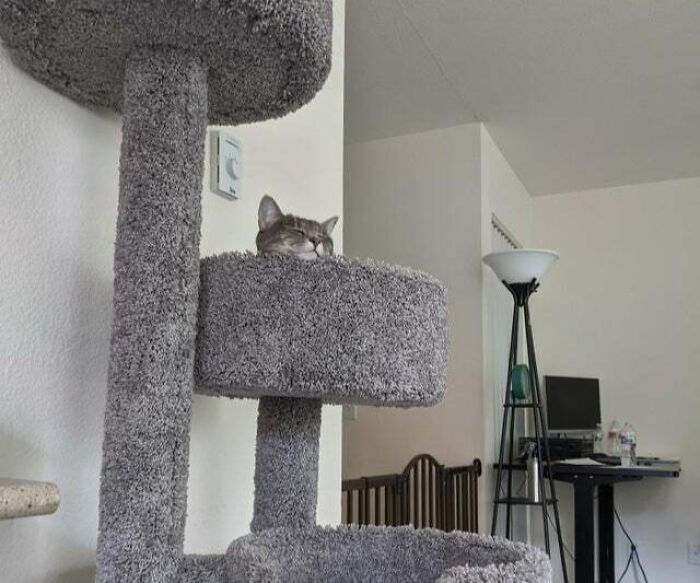 I Think She Likes Her New Tree