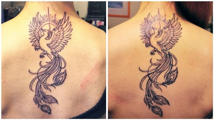 Phoenix tattoo on back with detailed wings and feathers design.