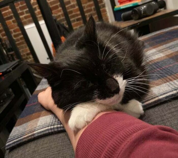 Guess I’m Sleeping Here Tonight