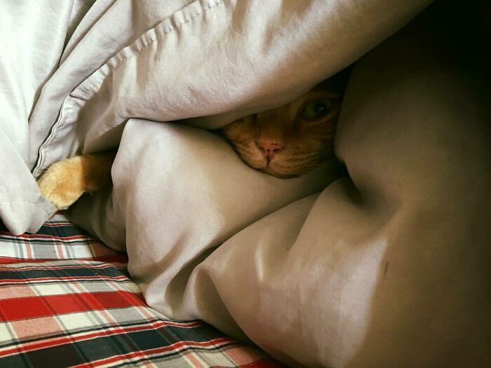 The Recent Weather Has Been Hot And Cold I Don't Know How To Dress Anymore