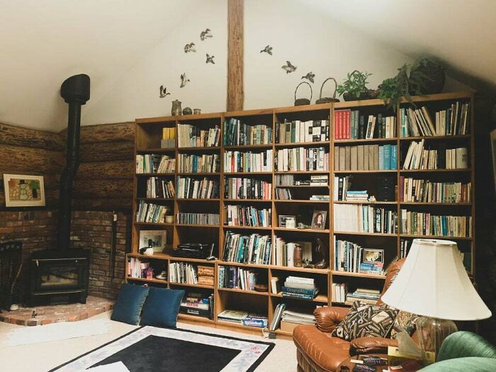Leather chair next to a brown bookshelf 