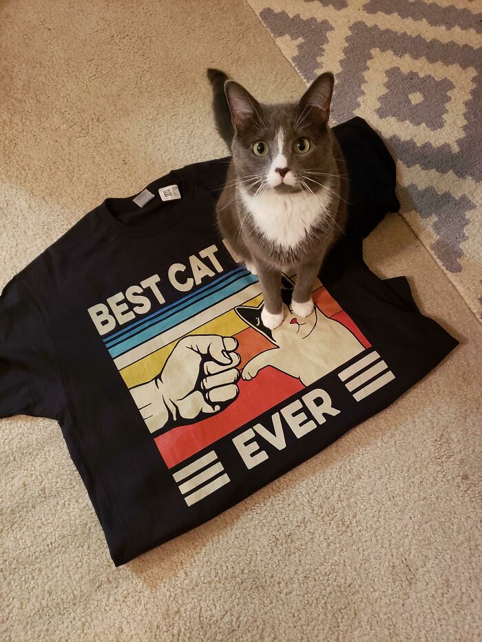 My Girlfriend Got Me This Awesome Shirt For Valentine's Day But When I Laid It Down To Take A Picture, Our Cat Sat On The Word "Dad" Making The Shirt Just Say "Best Cat Ever"