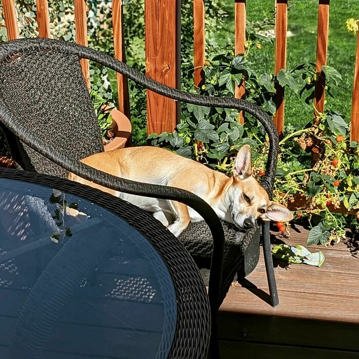 Getting In All The Sunshine I Can Before The Rain Comes In