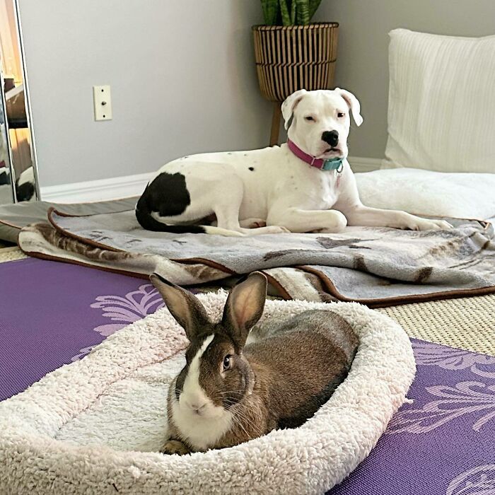 Lazy Saturday In This House