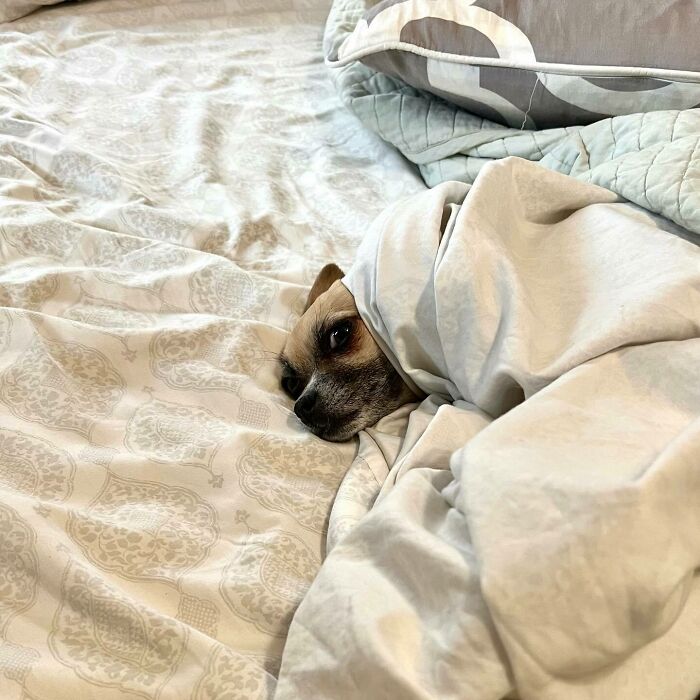 2-Year Life Update: It’s Mostly Been This