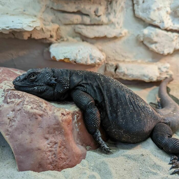 It Was Really A Long And Busy Week