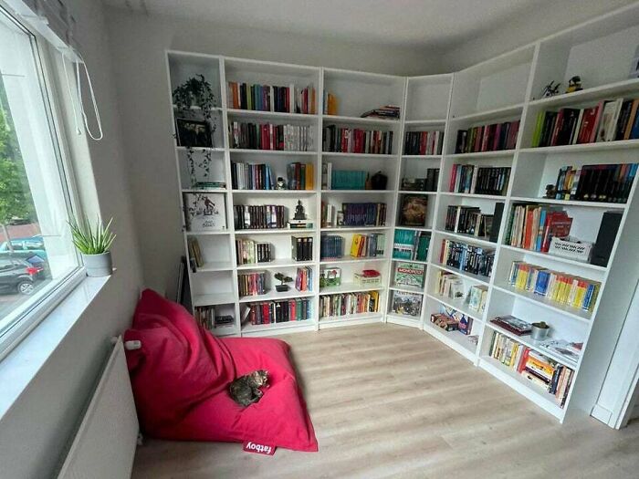 cat lying on a pink chair 