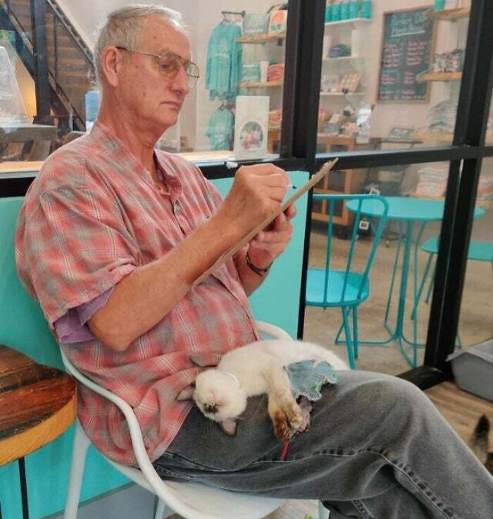 Someone At The Purrfect Day Cat Cafe In Louisville, Filling Out The Paperwork To Take This Kitty Home