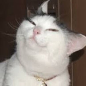 hadessahwright avatar