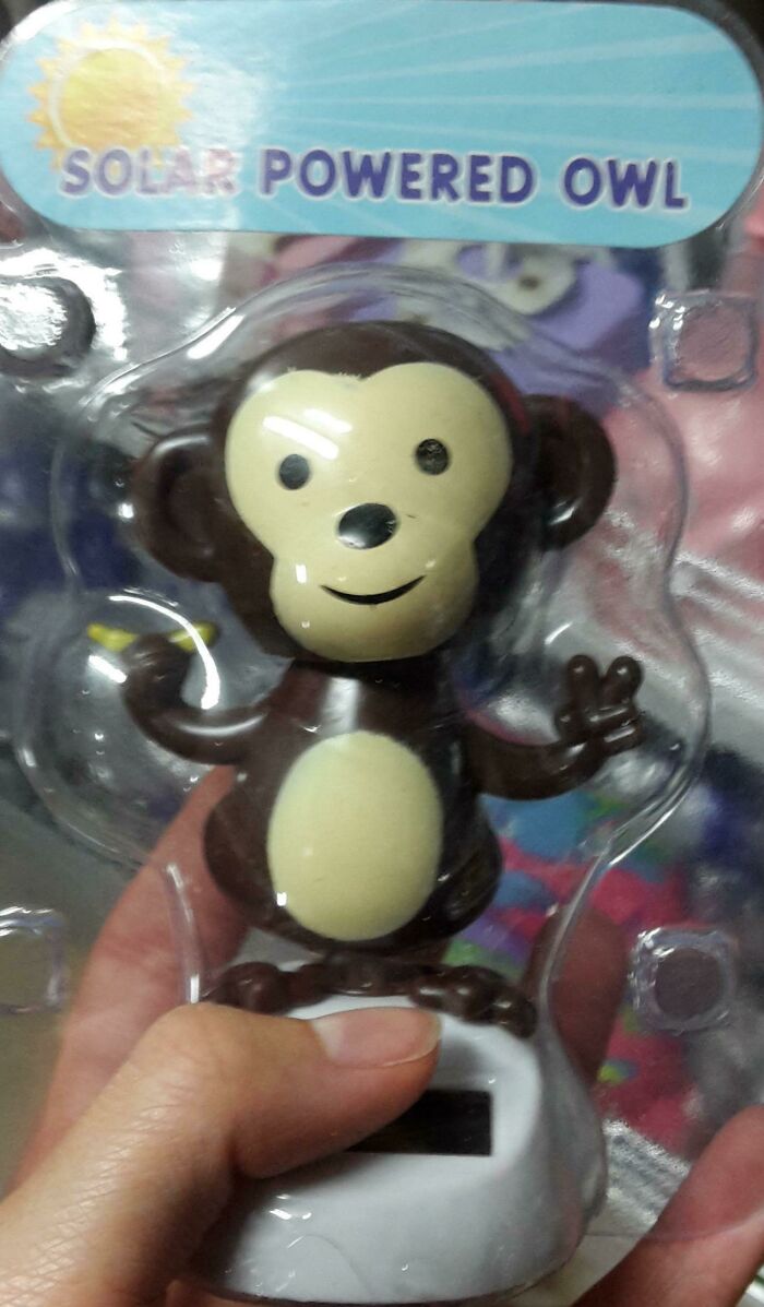 Ahh, Yes, My Favourite Animal