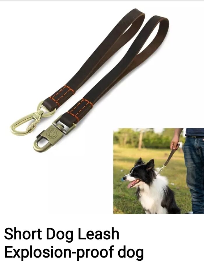 Explosion-Proof Dog💥