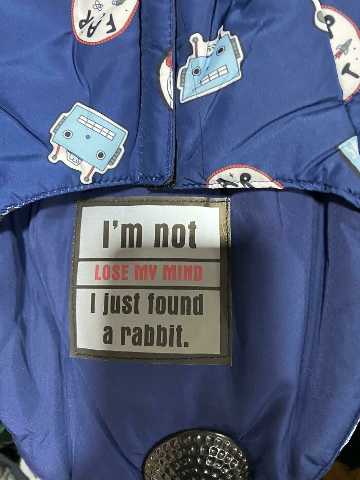 Who U Calling Crazy (Found In A Dog Jacket)