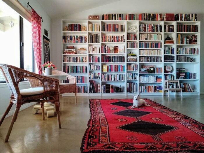 dog sitting on the red rug 