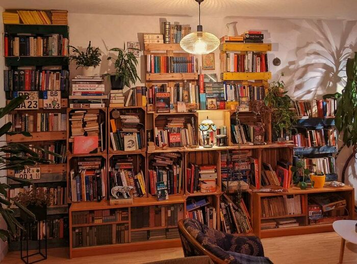 Wooden bookshelf with plants and books