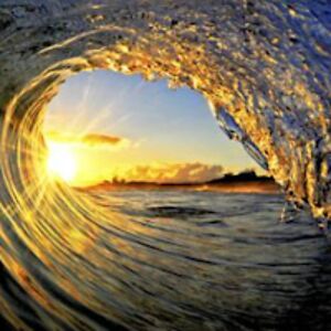 graciehollifield avatar