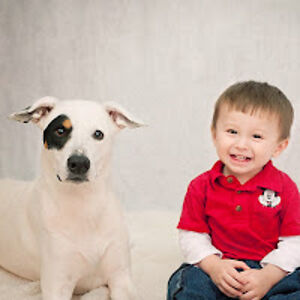 friskastreeter avatar